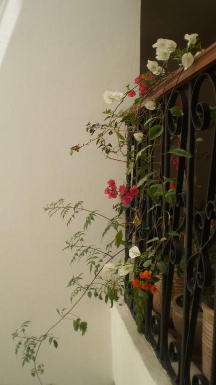 Dar Darek Essaouira Exterior foto